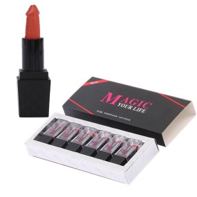 Lipstick Set Factory - Ready to Ship Organic Mushroom 6 Colors Matte