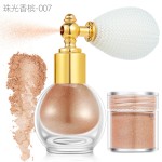 Highlighter Powder Factory - GGF01 High Quality 10 Colors Pearl Glitter Spray