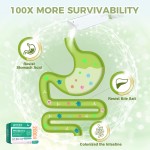 OEM ODM Probiotic Freeze-dried Powder 200 Billion CFU Postbiotics Prebiotics and Probiotics Blend Powder for Digestive Health