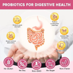 Hot Sale Prebiotic 500 Billion CFU Powder High Quality Probiotics Postbiotic Powder Bifidobacteria to Improve Gastrointestina