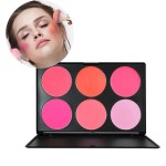 Blush Palette Supplier - Face Makeup 6 Color Natural Long-lasting Blush