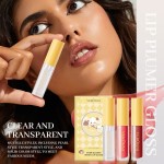Lip Plumper Gloss Supplier - 3 Colors Moisturizing Plumping Lip Glossy Set