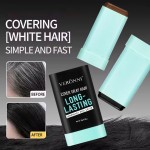 Hair Root Stick Manufacturer - Long-Lasting Fast Cover Temporary Color Cream