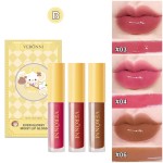 Lip Plumper Gloss Supplier - 3 Colors Moisturizing Plumping Lip Glossy Set