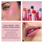Blush Stick Manufacturer - Wholesale Cream Blush Stick Jelly Temperature Change