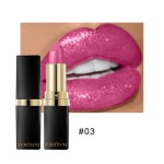 Shimmer Lipgloss Supplier - 10 Color Shimmer Glitter Long Lasting Mineral Gel