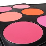 Blush Palette Supplier - Face Makeup 6 Color Natural Long-lasting Blush