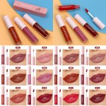 Liquid Lipstick Factory - Wholesale 12-Color Waterproof Matte Mineral-based