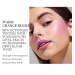 Blush Stick Manufacturer - Wholesale Cream Blush Stick Jelly Temperature Change