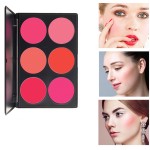 Blush Palette Supplier - Face Makeup 6 Color Natural Long-lasting Blush