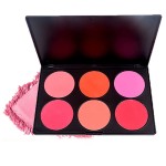 Blush Palette Supplier - Face Makeup 6 Color Natural Long-lasting Blush