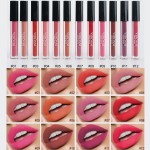 Liquid Lipstick Manufacturer - 12pcs/set Velvet Matte Waterproof Lip Gloss