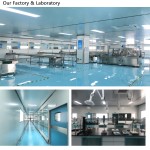 Acne Patch Supplier - Private Label Bulk Wholesale Hydrocolloid Customization