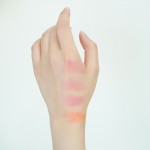 Blush Stick Factory - Own Brand High Quality Vegan Heart Set Private Label