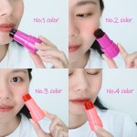 Blush Sticks Supplier - Custom Makeup Colour Changing Private Label Shimmer