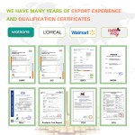 Acne Patches Manufacturer - Korean Spot Treatment Hydrocolloid Pimple Waterproof