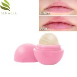 Lip Balm Supplier - Cute Mini Macaron Kids Lip Balm Spf Pink Empty