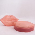 Lip Mask Supplier - Wholesale Collagen Plump Custom Gold Organic Lip Mask