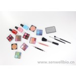 Makeup Kit Supplier - Professional Make up Kit Mini Supply All One Makeup Set