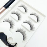 Magnetic Eyeliner Kit Supplier - Wholesale Custom Logo 5 Magnet with Lashes