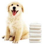 Dog Diapers Supplier - Disposable Eco Friendly Pet Nappy Bamboo China