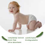 Biodegradable Baby Diaper Factory - Private Label Bamboo Eco Friendly Diapers