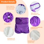 Dog Diapers Factory - Custom Design Female Reusable Breathable Physiological