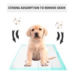 Pet Training Underpad Supplier - High Absorbent Bamboo Fabric Leak Proof