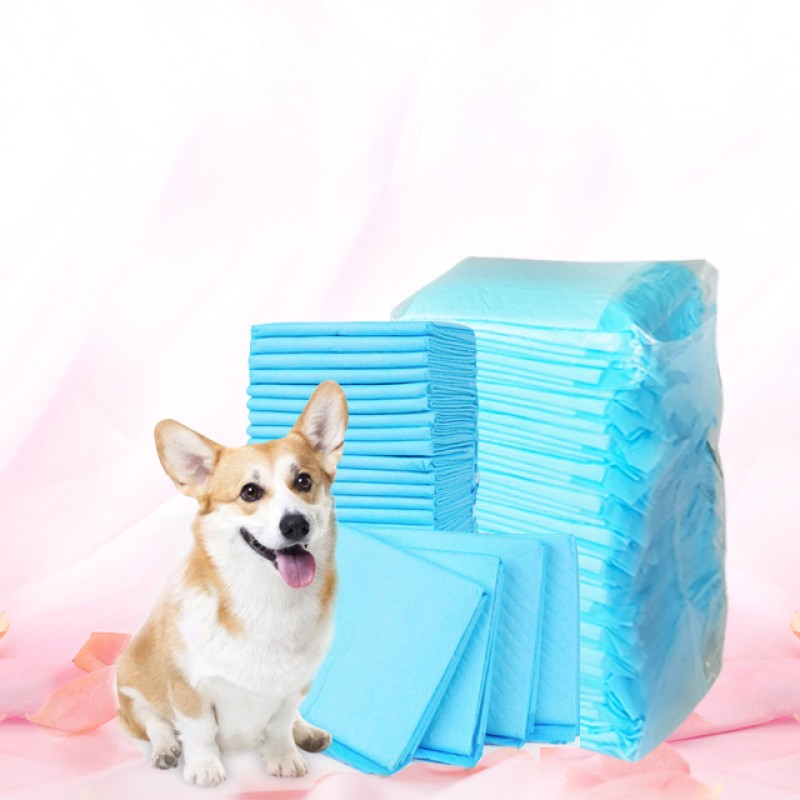 Dog Pee Pads Manufacturer - Biodegradable Super Absorbent Training Pet Pee
