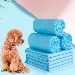 Pet Training Pad Supplier - Super Absorbent Biodegradable 5 Layer Potty Pads
