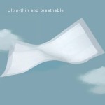 Pet Training Pad Supplier - Super Absorbent Biodegradable 5 Layer Potty Pads