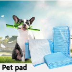 Pet Training Underpad Supplier - High Absorbent Bamboo Fabric Leak Proof