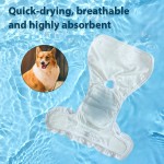 Dog Diaper Supplier - Reusable Washable Belly Band Waterproof Adjustable