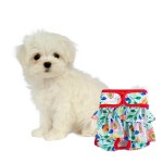 Female Dog Diapers Supplier - Reusable Adjusted Underwear Cloth Pleated Skirt