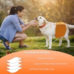 Male Dog Diaper Manufacturer - Custom Good Price Belly Wrap Waterproof Reusable