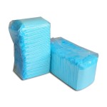 Dog Pee Pads Manufacturer - Biodegradable Super Absorbent Training Pet Pee