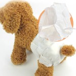 Dog Diaper Manufacturer - OEM ODM Eco Friendly Disposable Bamboo Biodegradable