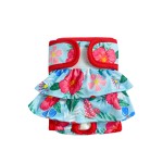 Female Dog Diapers Supplier - Reusable Adjusted Underwear Cloth Pleated Skirt