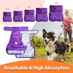 Dog Diapers Factory - Custom Design Female Reusable Breathable Physiological