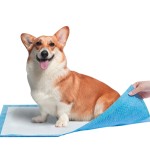 Puppy Pee Pad Factory - Disposable Training Pad Eco Friendly Bamboo Biodegradable