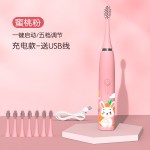 Electric Toothbrush Supplier - Ultrasonic Rechargeable Waterproof Couple Set