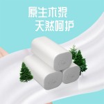 Toilet Paper Factory - Whole Lift Toilet Roll Coreless Toilet Paper