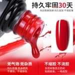 Nail Extender Manufacturer - Crystal Extender Fast Paperless Holder 30ml