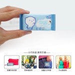 Wet Wipes Factory - 10 Pack Extraction Type Small Bag Disposable