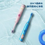 False Nails Supplier - Net Red Removable Nail Patch Female Disassembly