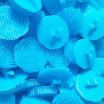 Makeup Brush Cleaner Factory - Professional Makeup Brush Cleaning Box