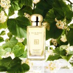 Women Perfume Supplier - Quicksand Lady Gilt Light Fragrance Student