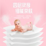 Toilet Paper Factory - Whole Lift Toilet Roll Coreless Toilet Paper