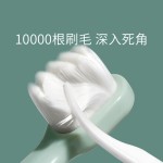 Adult Toothbrush Manufacturer - Household Couple Acoustic Wave Waterproof Soft