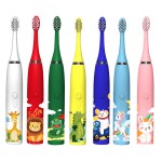 Electric Toothbrush Supplier - Ultrasonic Rechargeable Waterproof Couple Set